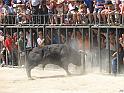 Aldeia Velha 13_57